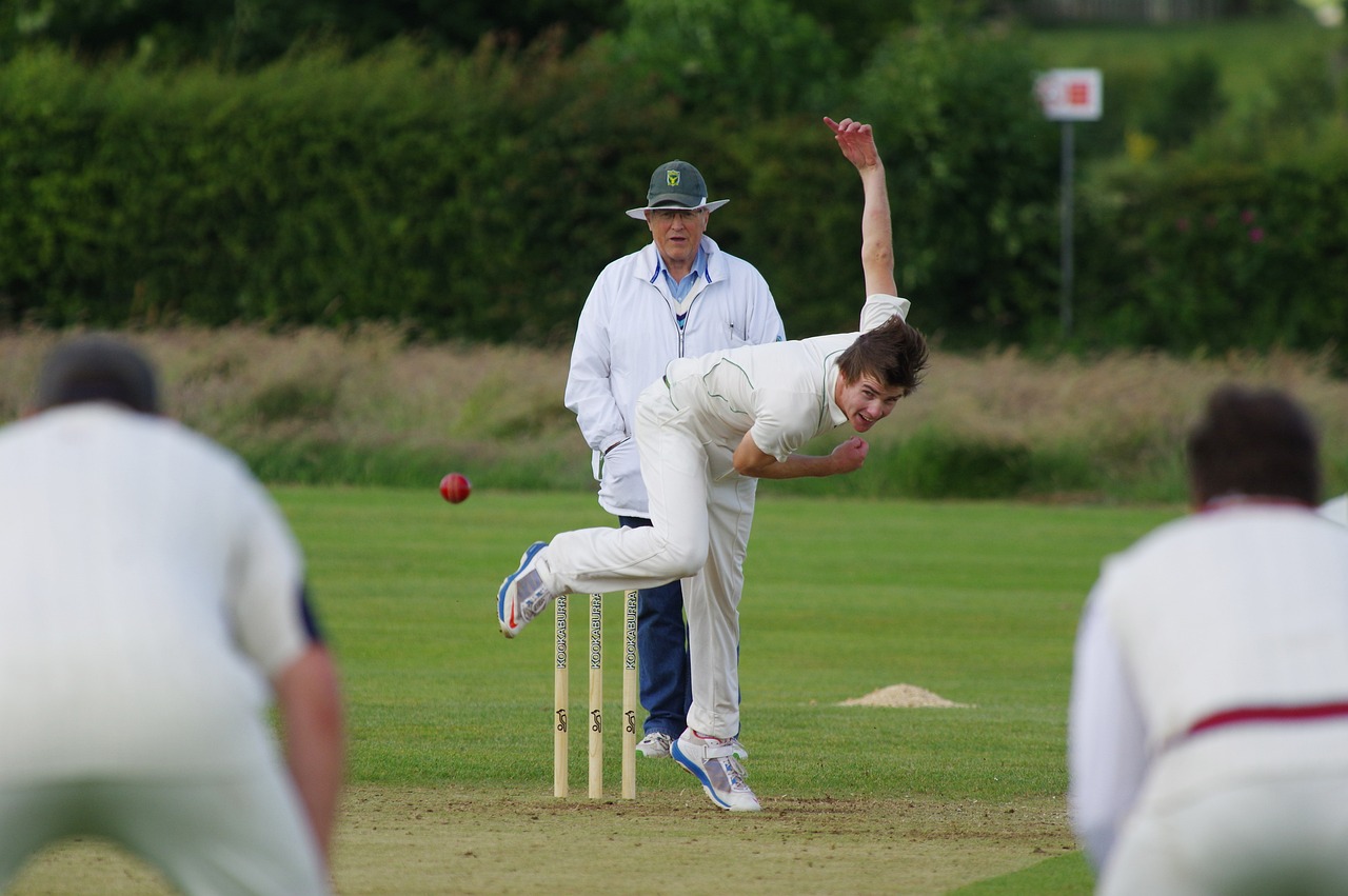 cricket, bowl, field-724618.jpg